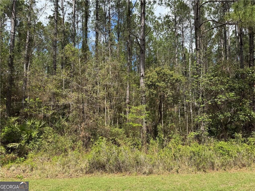 Lot 24 James Lane Property Photo 12