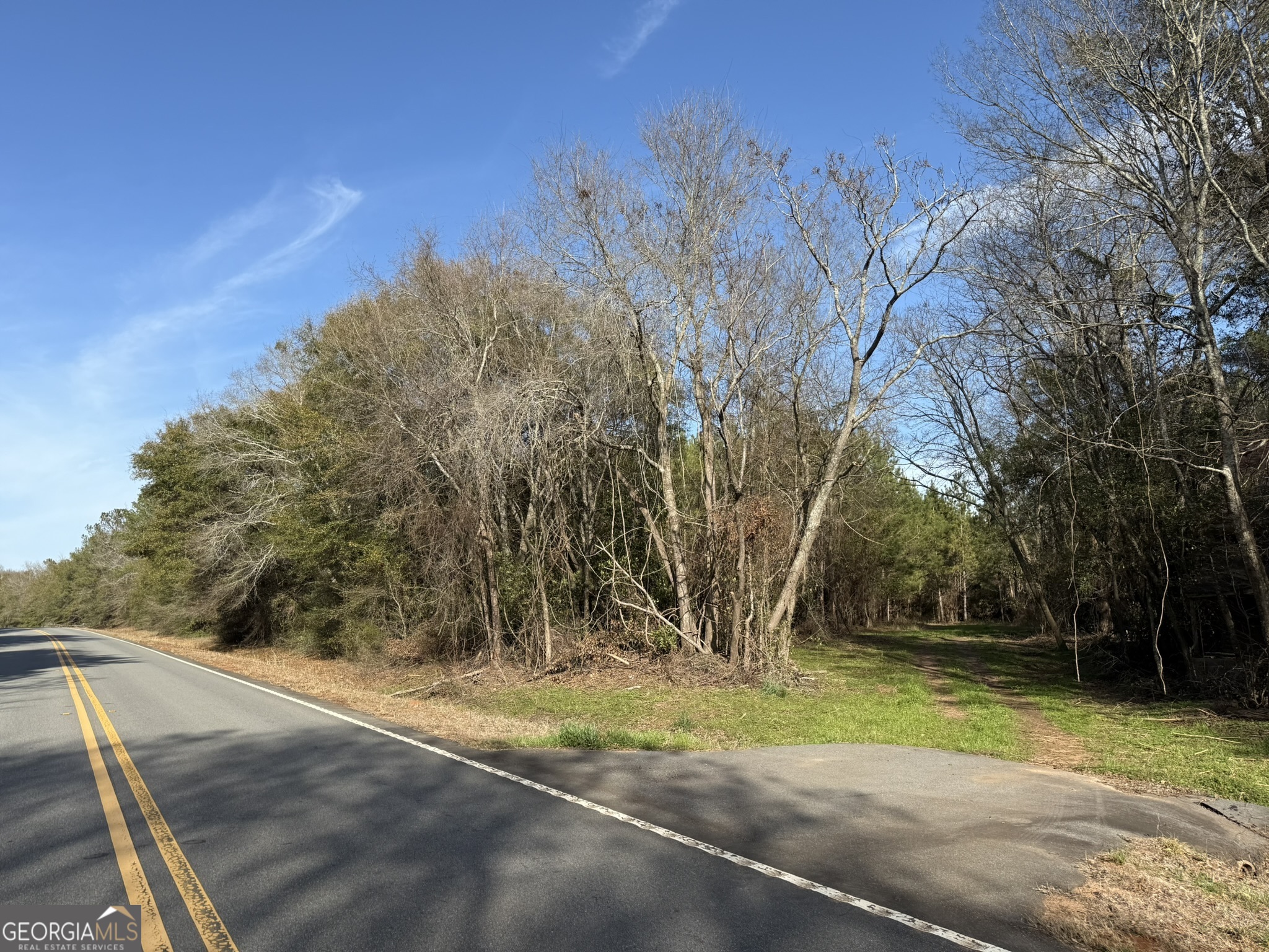 003 Ga Highway 45 Property Photo 1