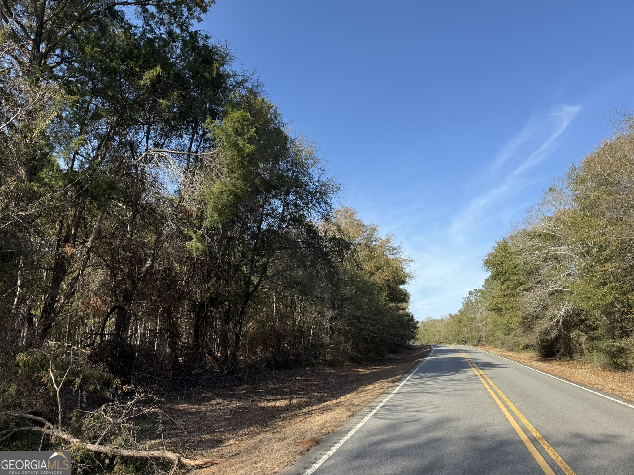 003 Ga Highway 45 Property Photo 2