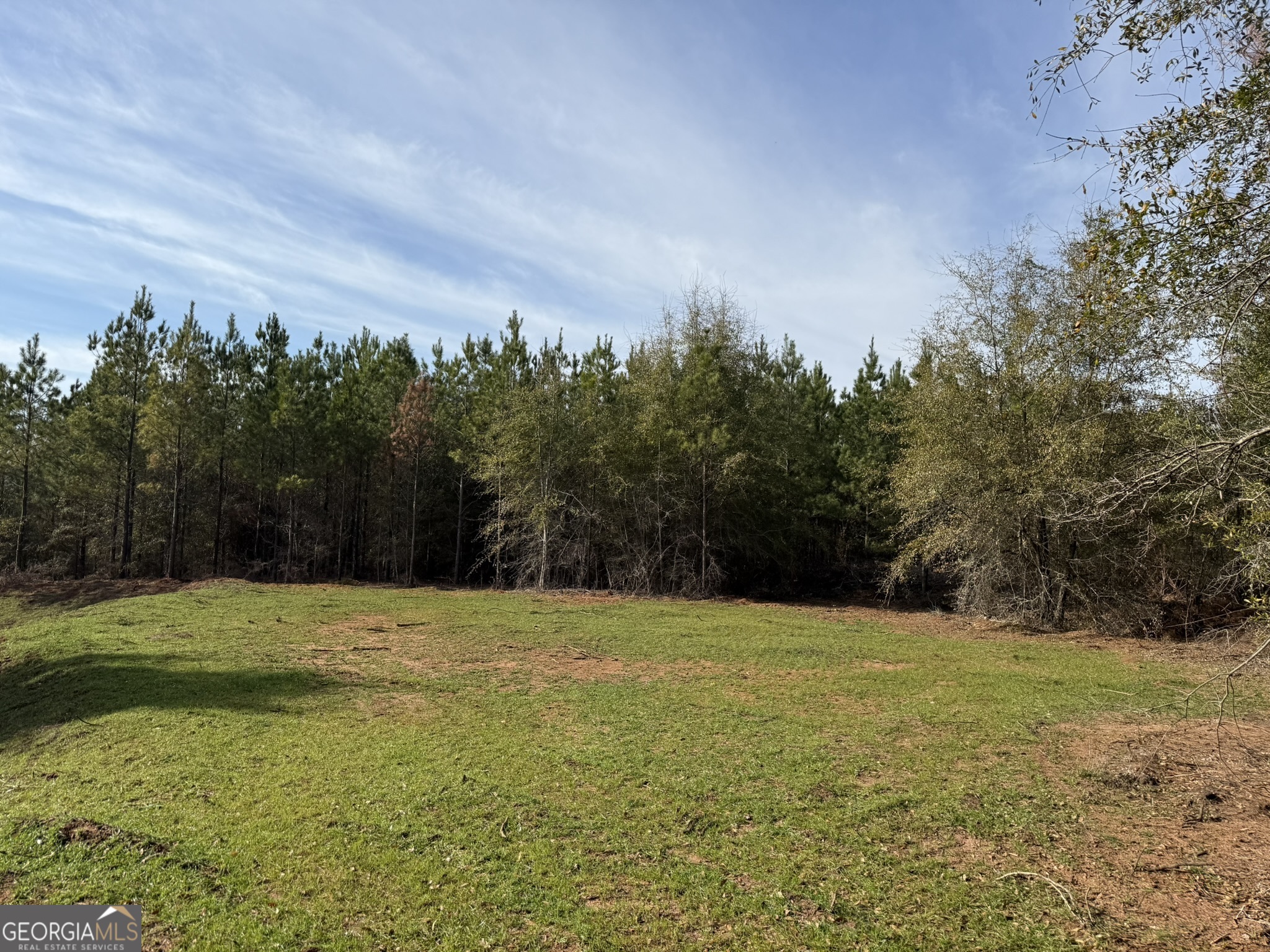 003 Ga Highway 45 Property Photo 3