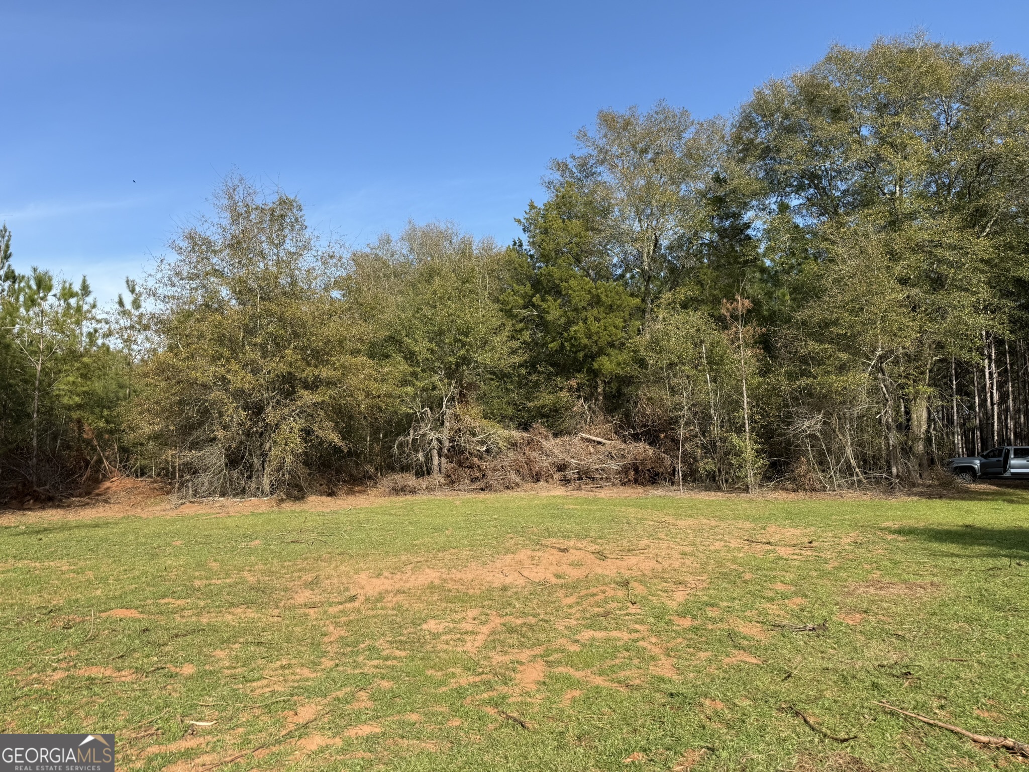 003 Ga Highway 45 Property Photo 4