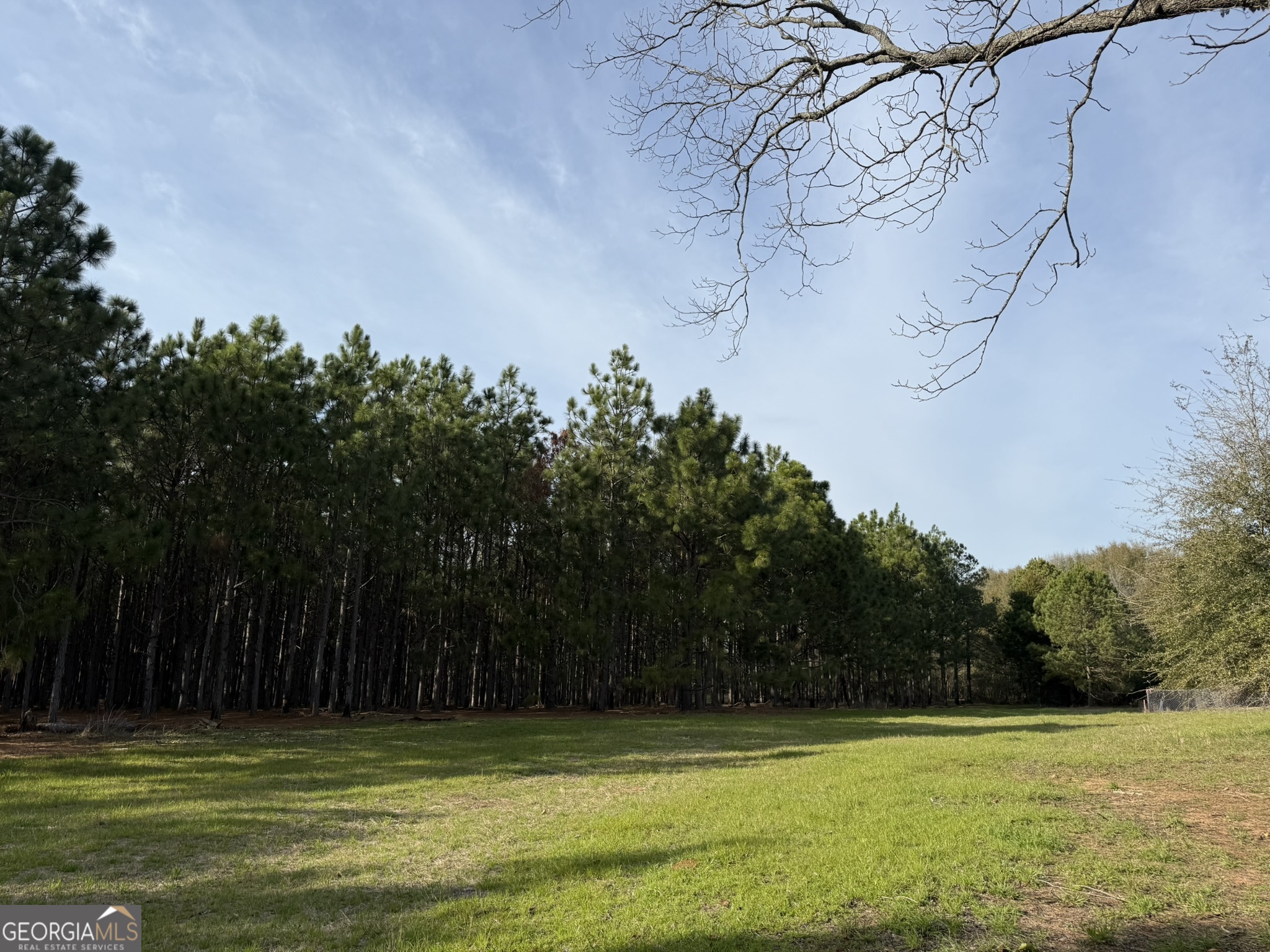 003 Ga Highway 45 Property Photo 5