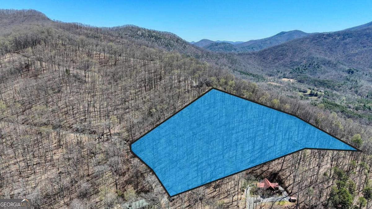 LOT 100 Timberline Acres # 100