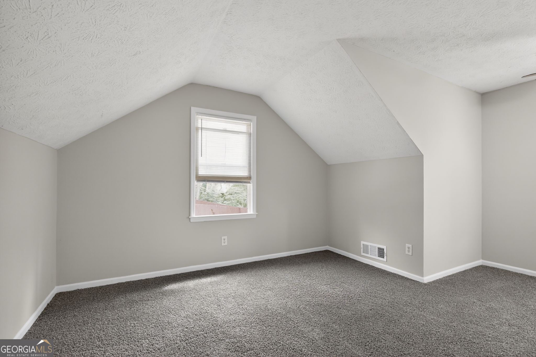 184 Cave Springs Court Property Photo 29