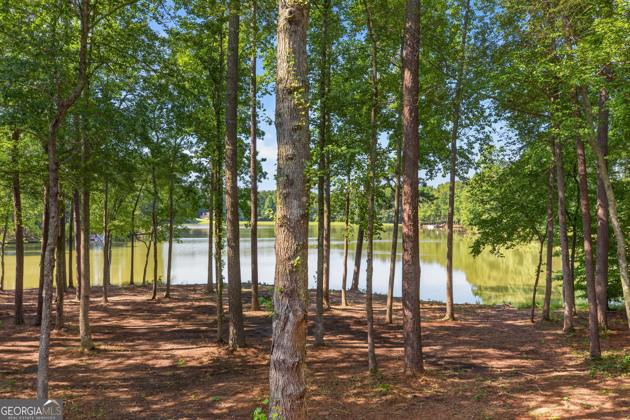 341 Teepee Trail Property Photo 52