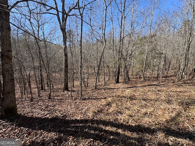 600 Yarbrough Road Property Photo 32