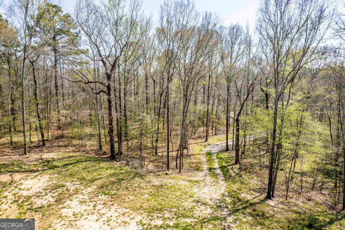 357 Old Copelan Road Property Photo 4