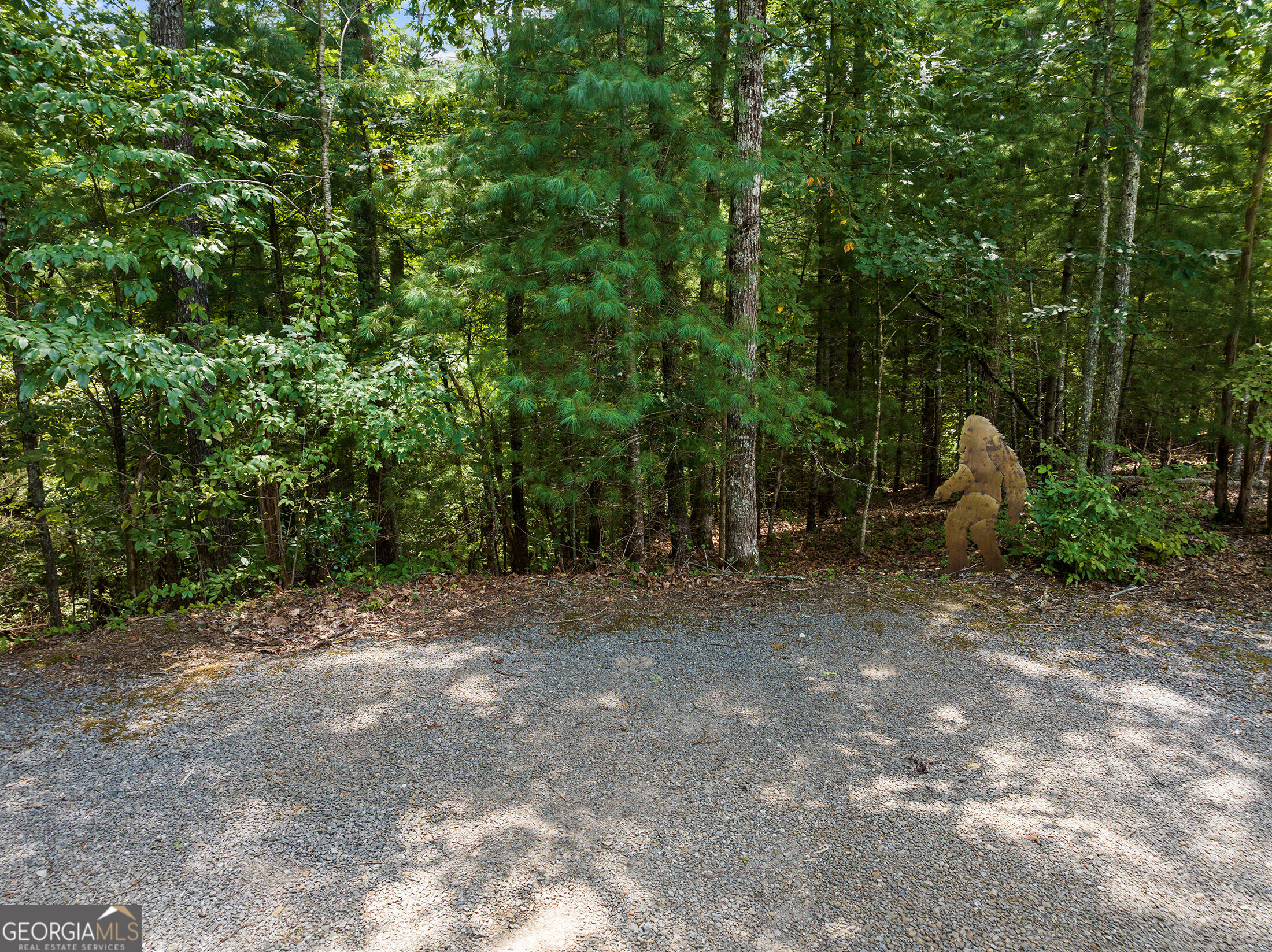 220 Lakota Lane Property Photo 49