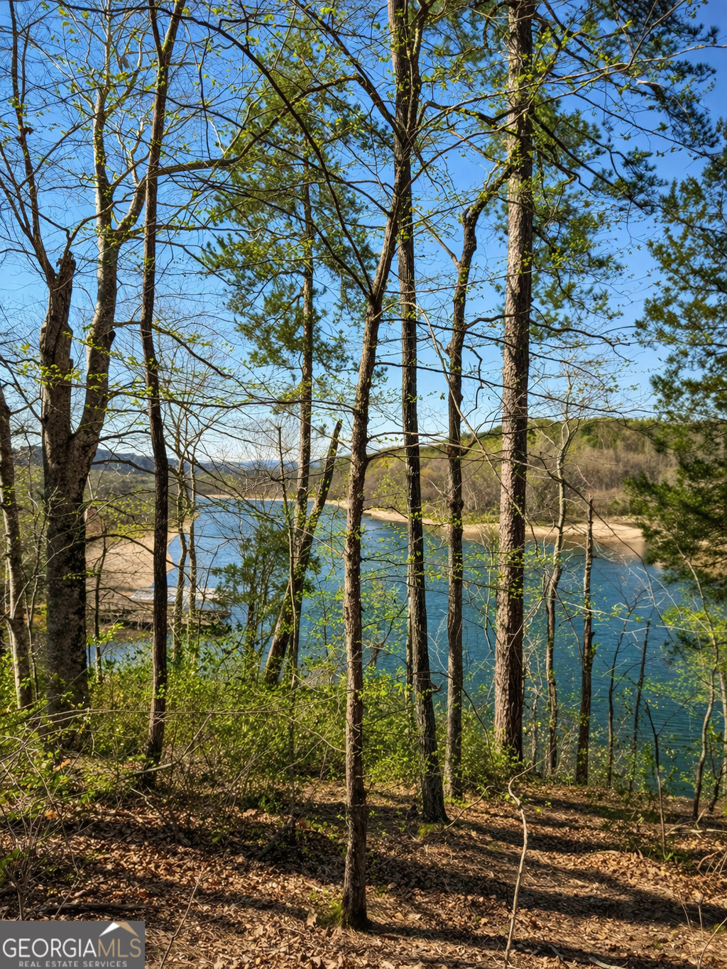 333 Laurel Mountain Drive Property Photo 14