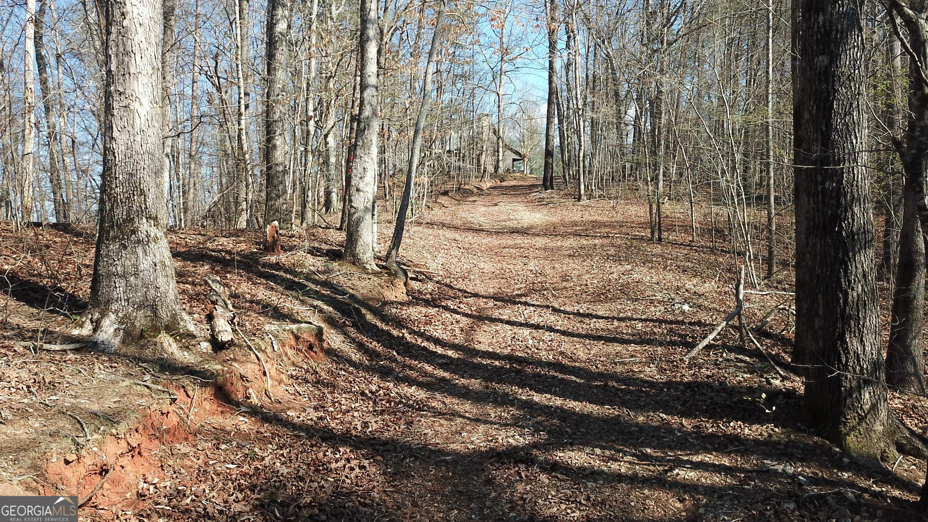 333 Laurel Mountain Drive Property Photo 15