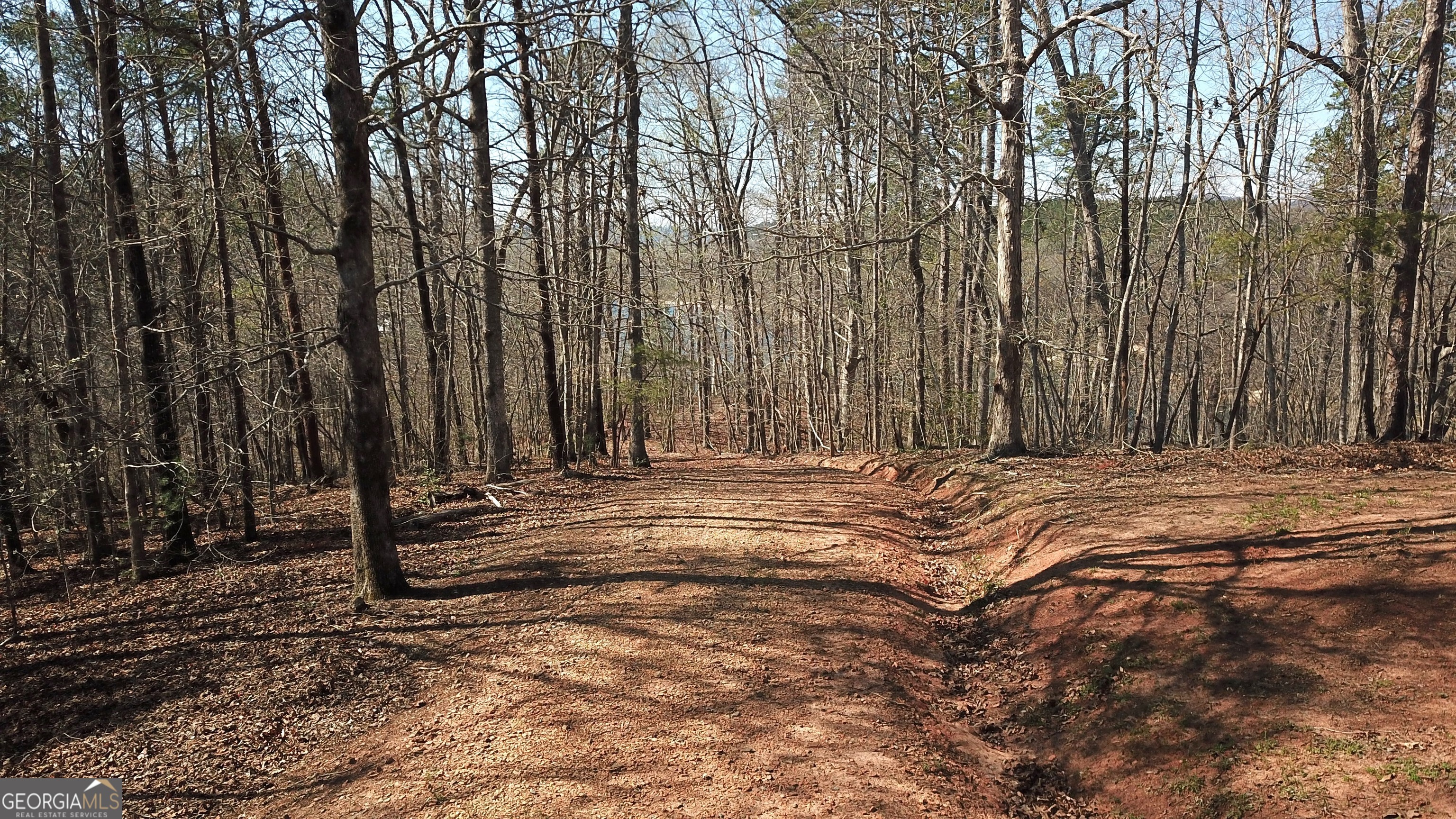 333 Laurel Mountain Drive Property Photo 17