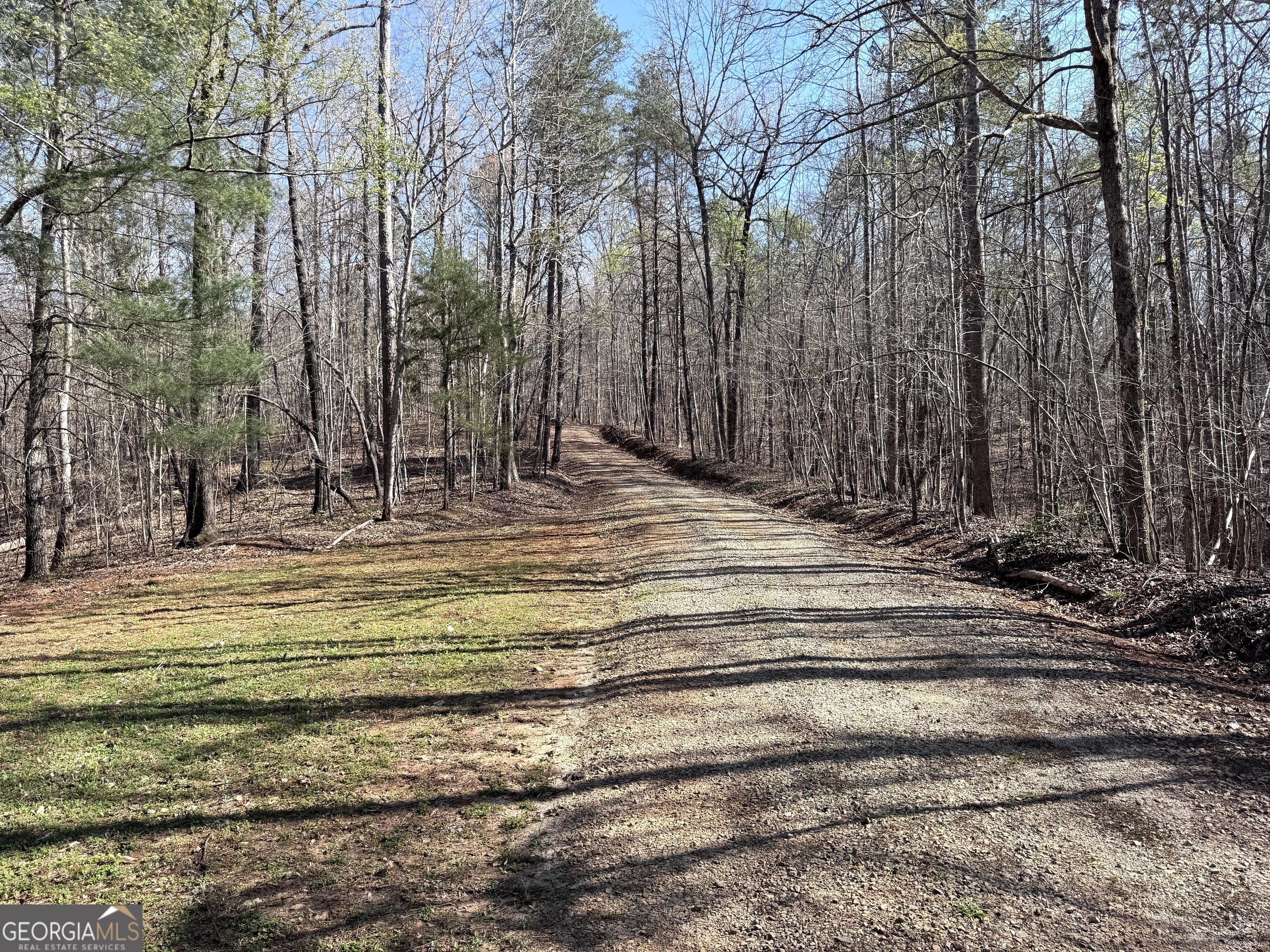 333 Laurel Mountain Drive Property Photo 19