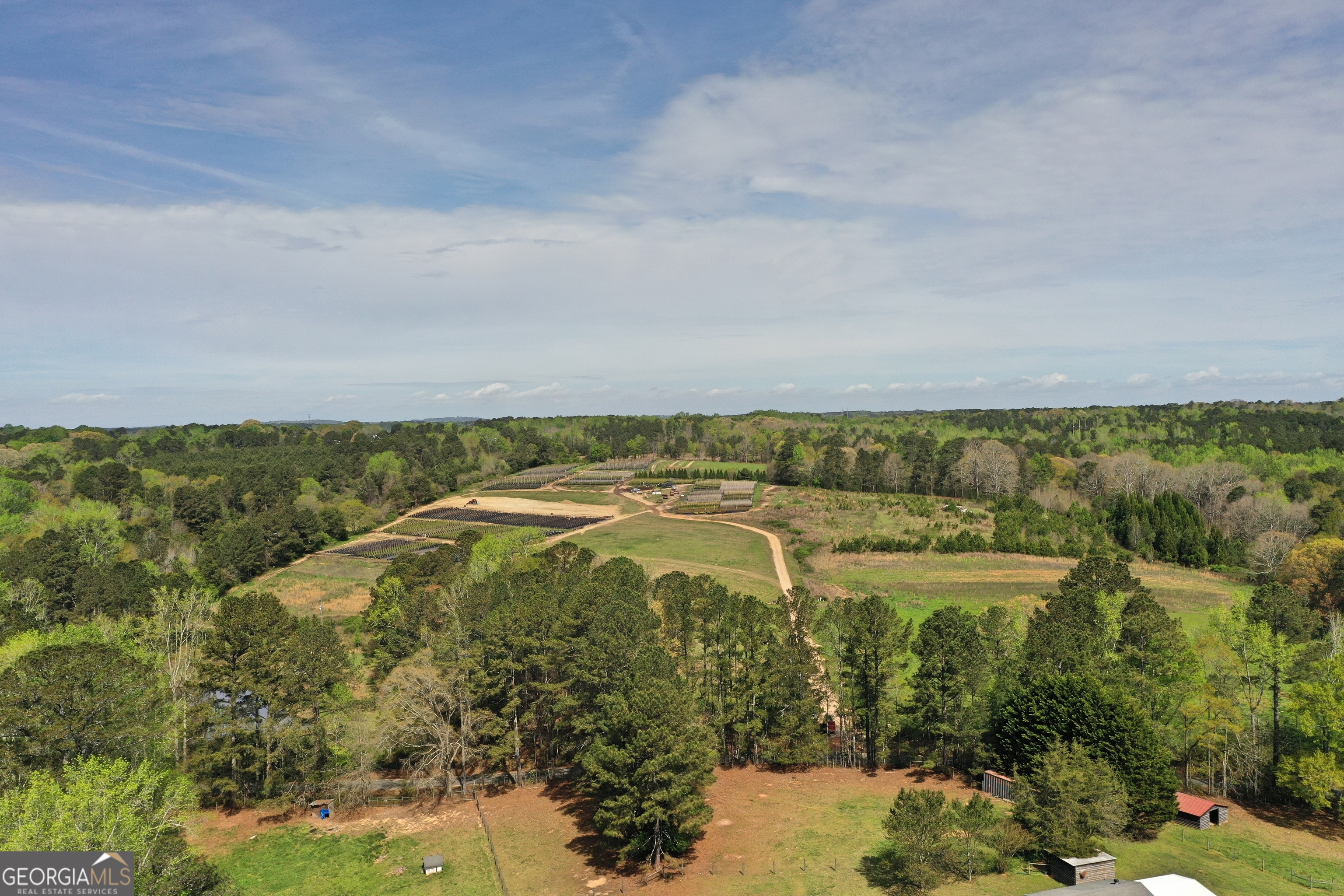 6039 Walker Bennett Road Property Photo 4