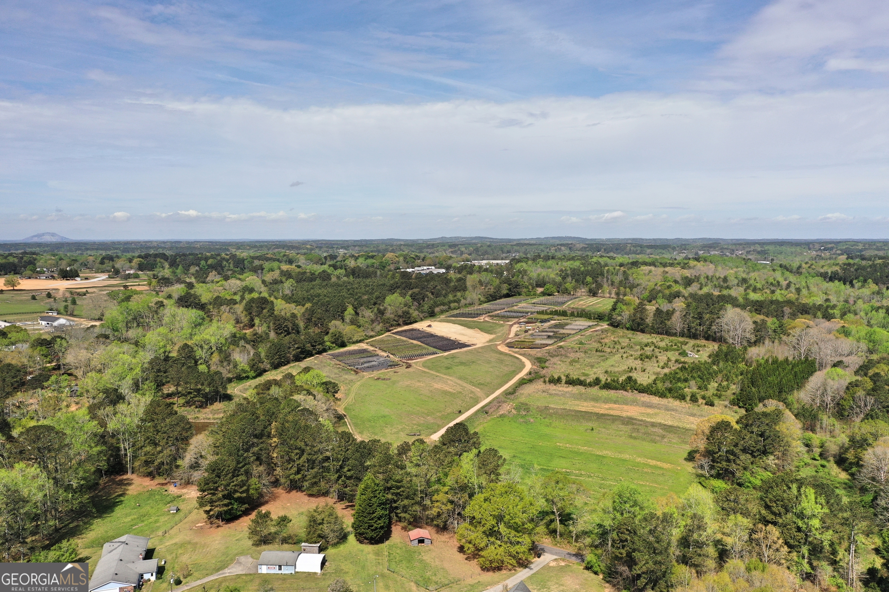 6039 Walker Bennett Road Property Photo 7