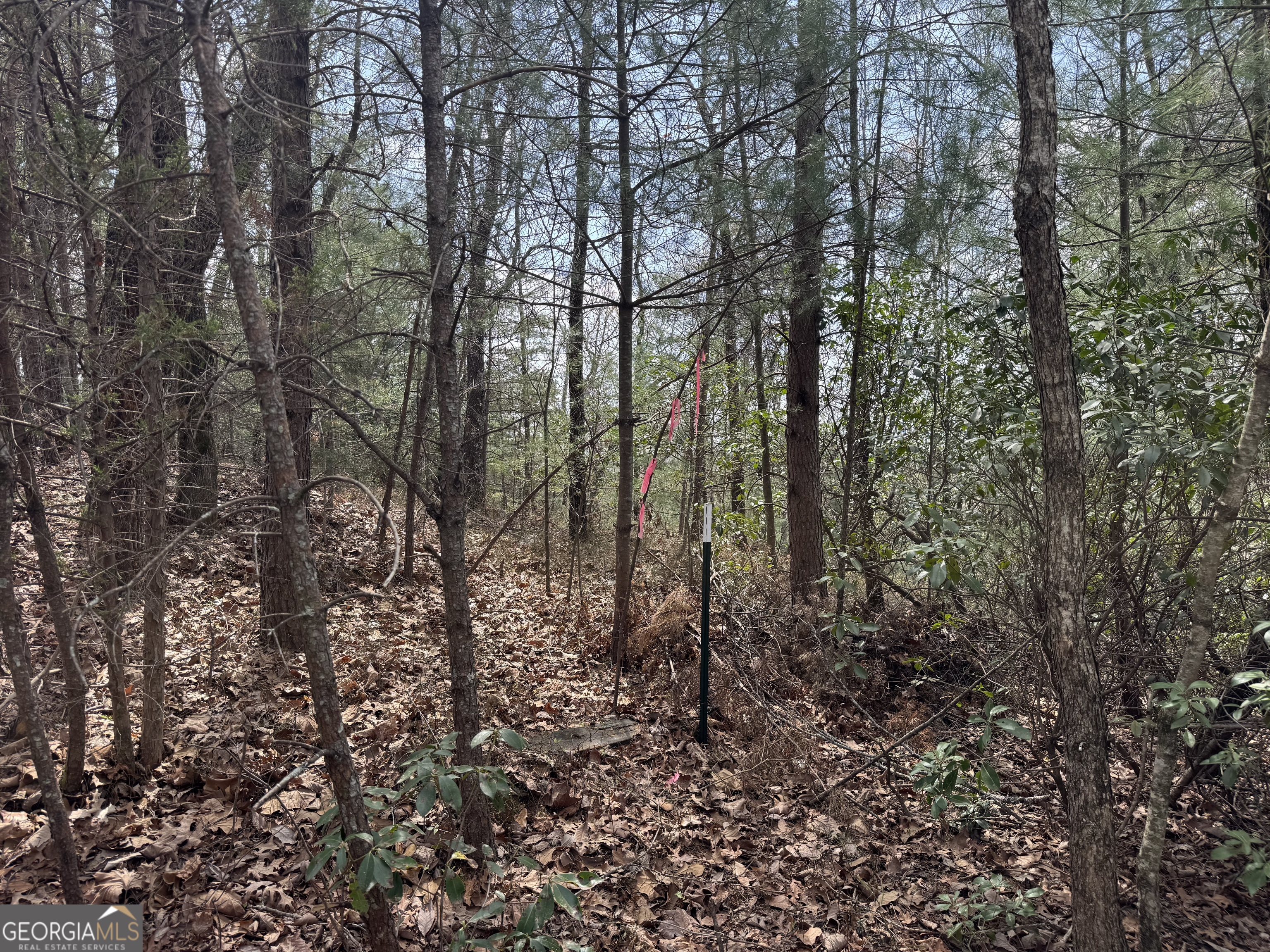 0 Grizzly Bear Trail Property Photo 4