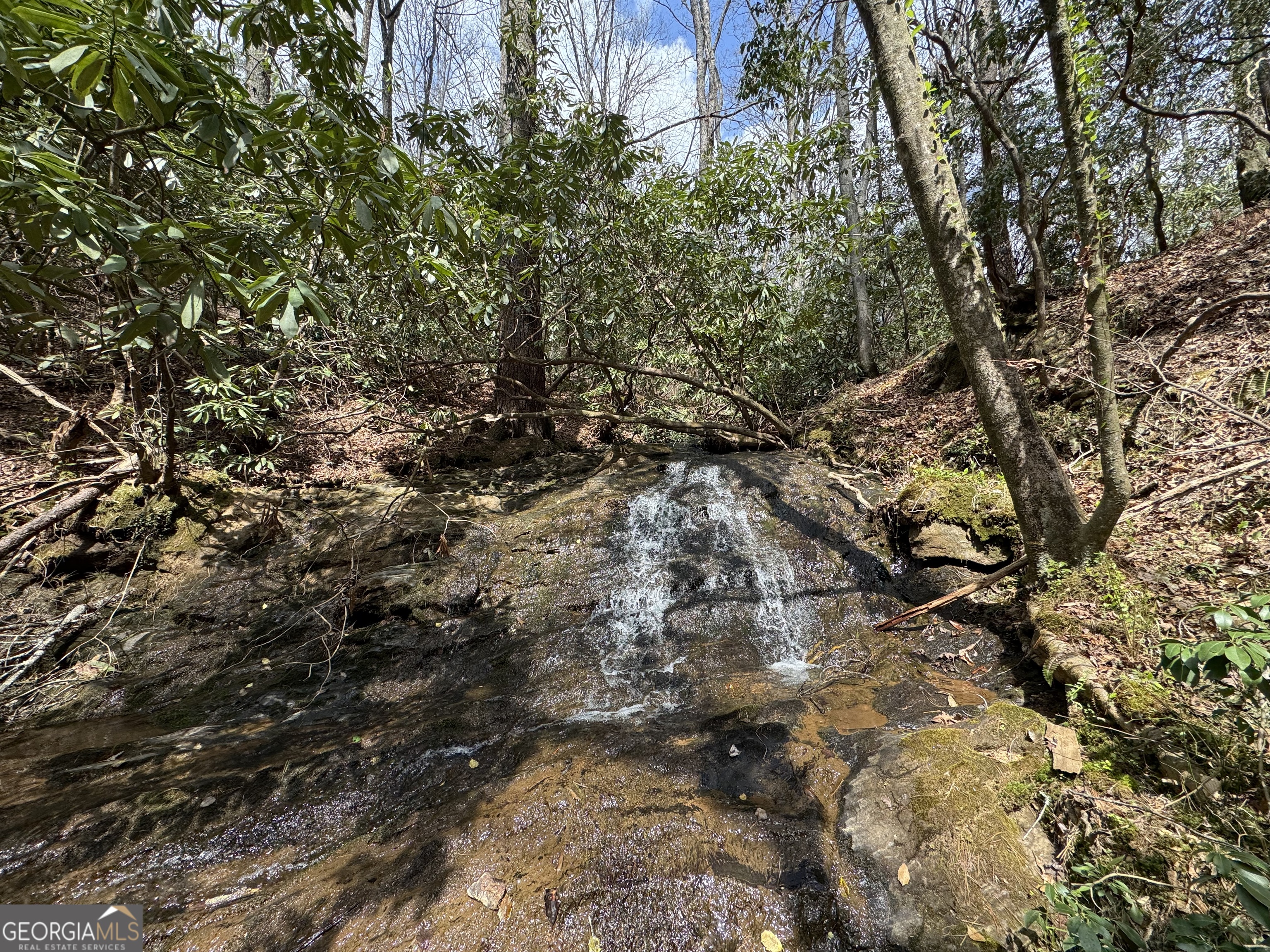 0 Grizzly Bear Trail Property Photo 5