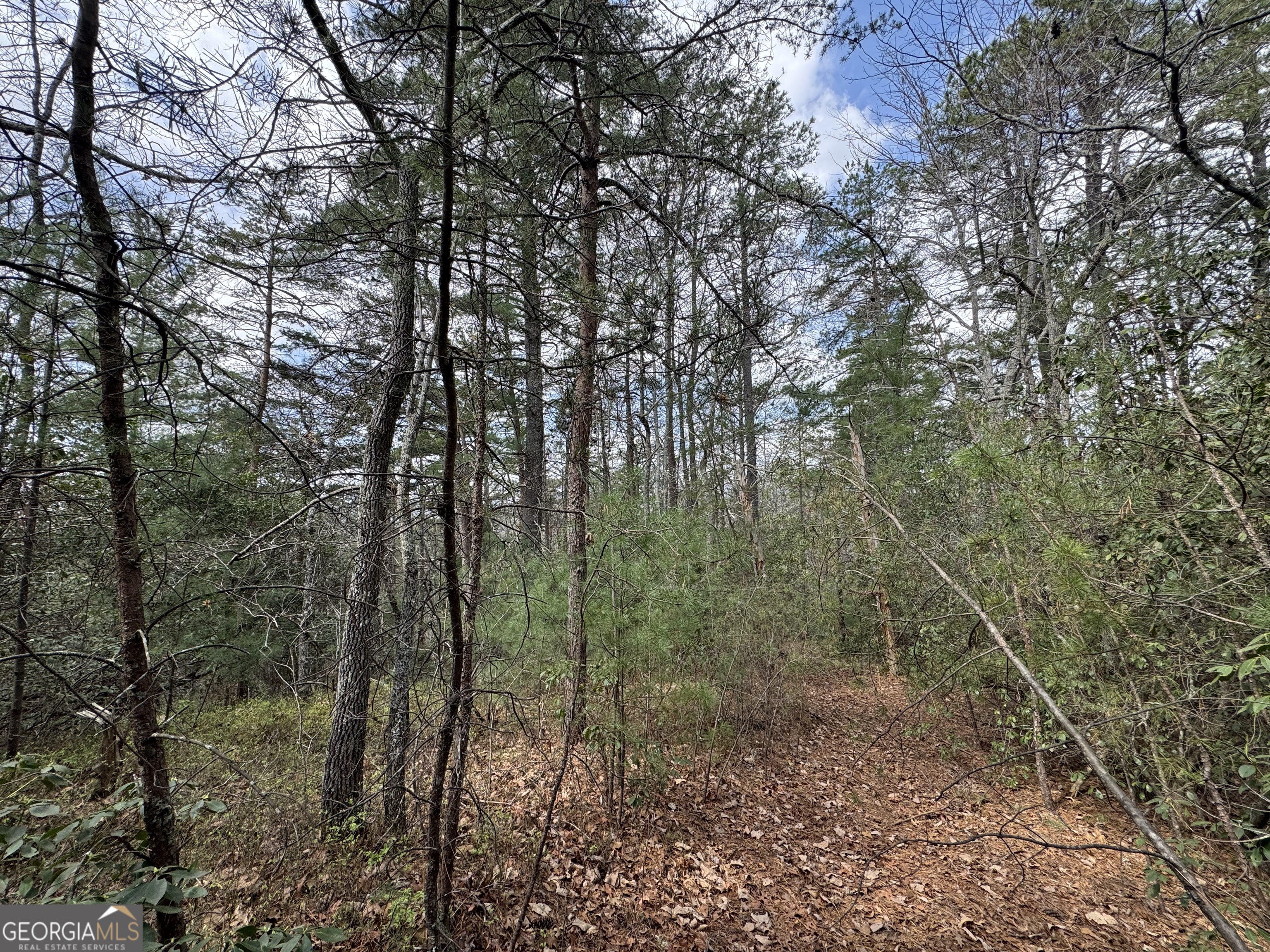 0 Grizzly Bear Trail Property Photo 6