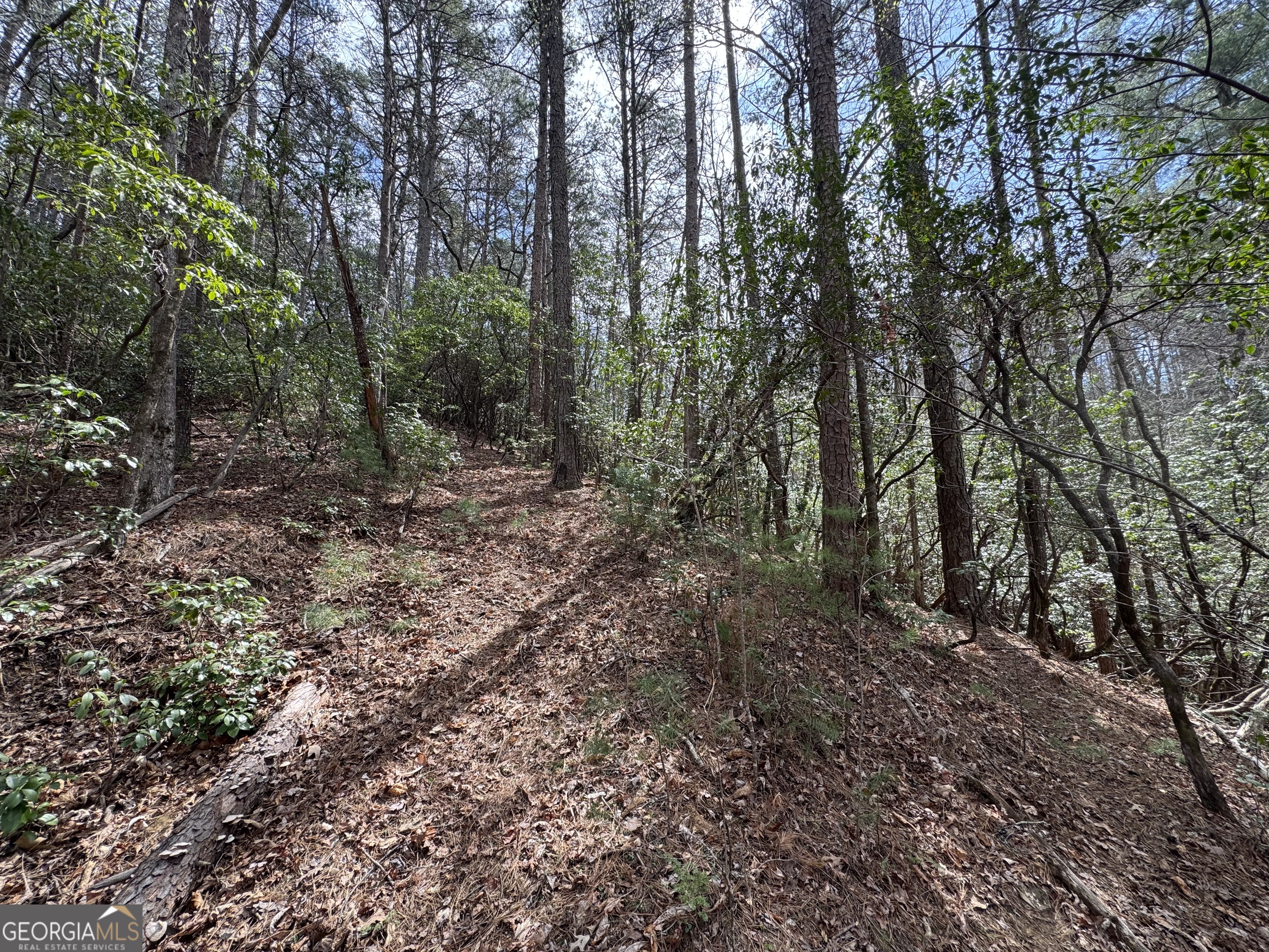 0 Grizzly Bear Trail Property Photo 10