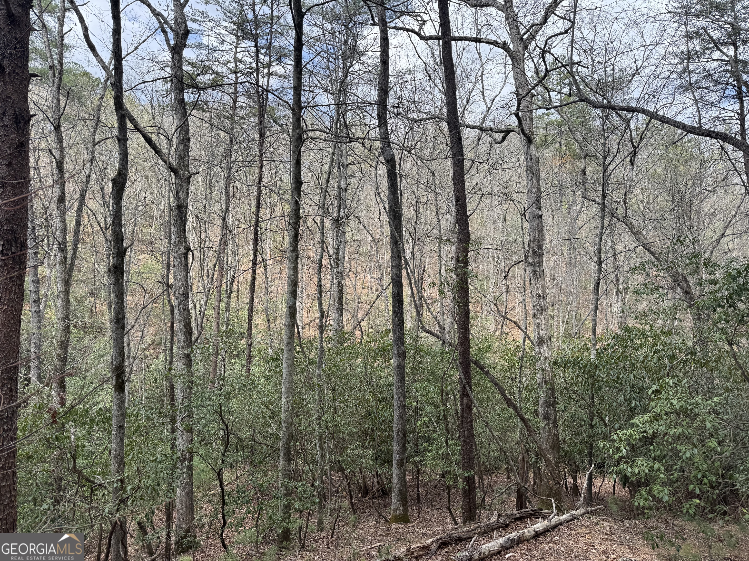 0 Grizzly Bear Trail Property Photo 12