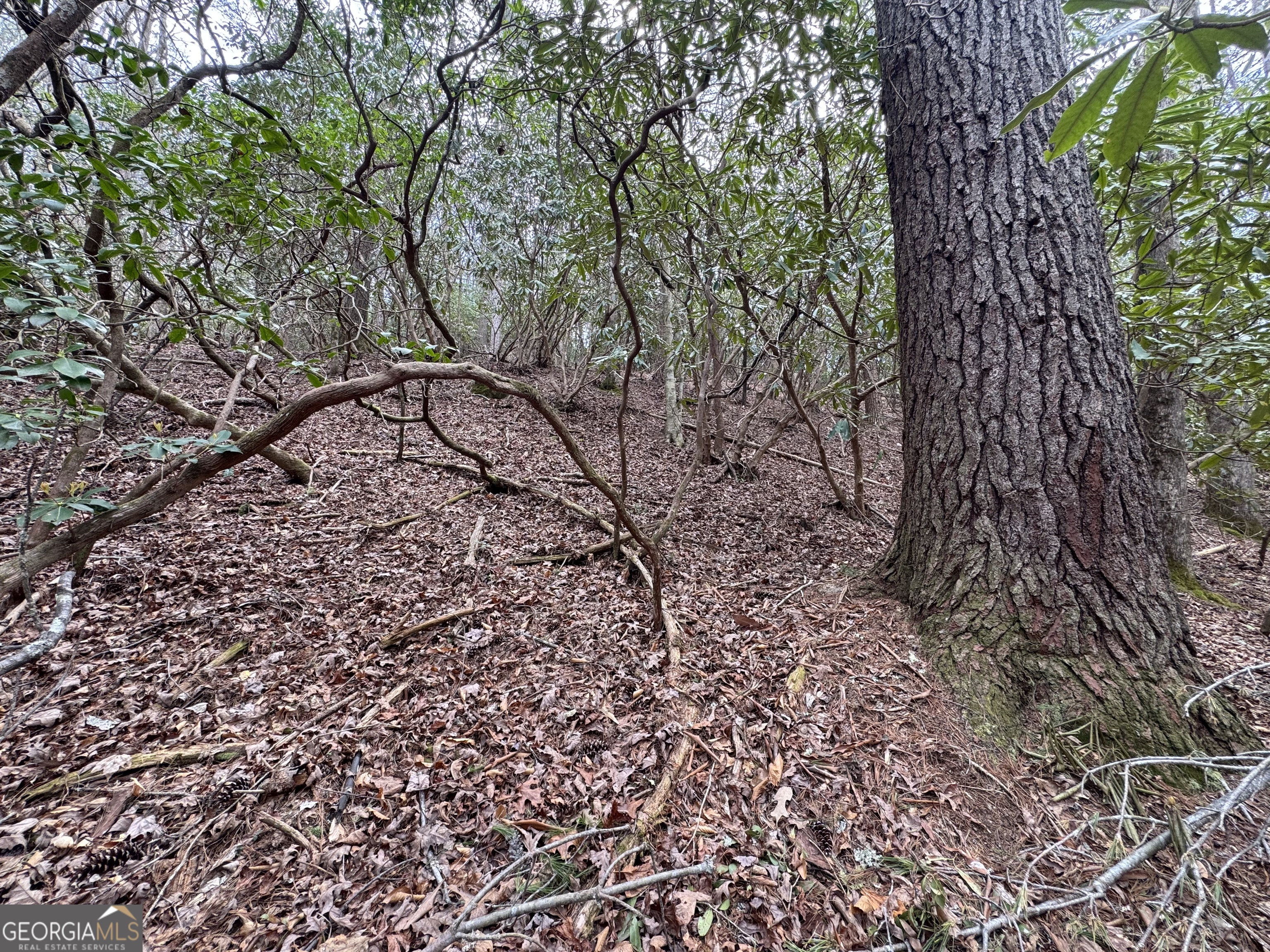 0 Grizzly Bear Trail Property Photo 18