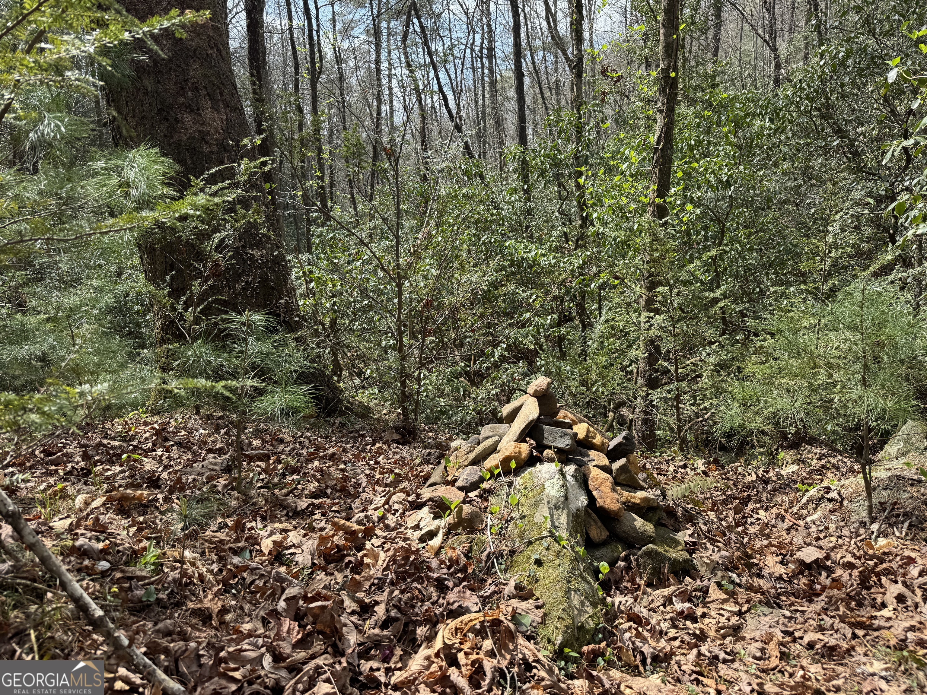 0 Grizzly Bear Trail Property Photo 19