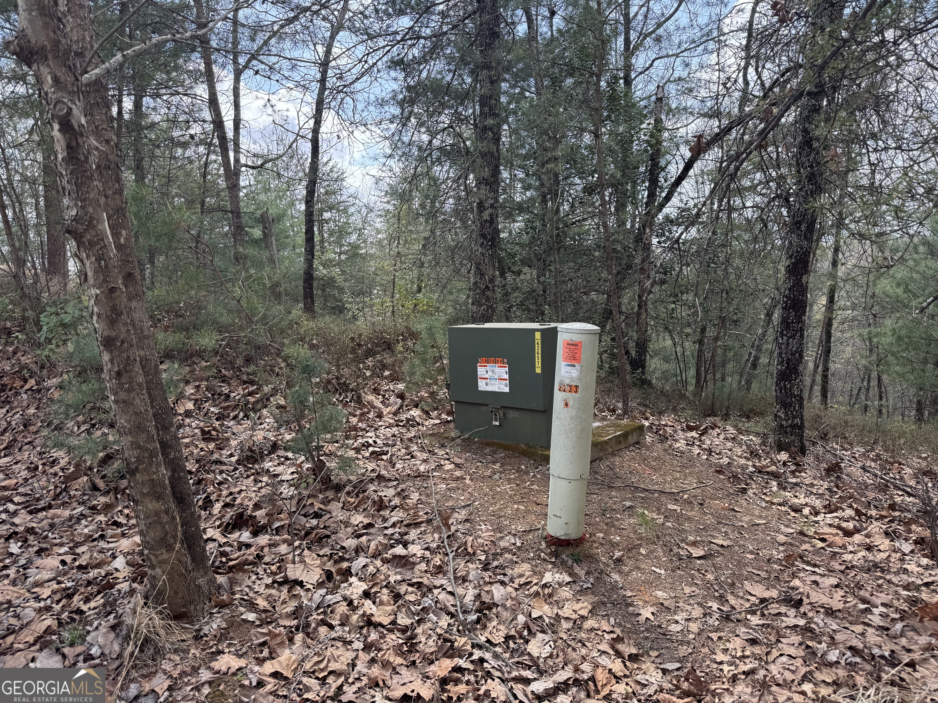 0 Grizzly Bear Trail Property Photo 22