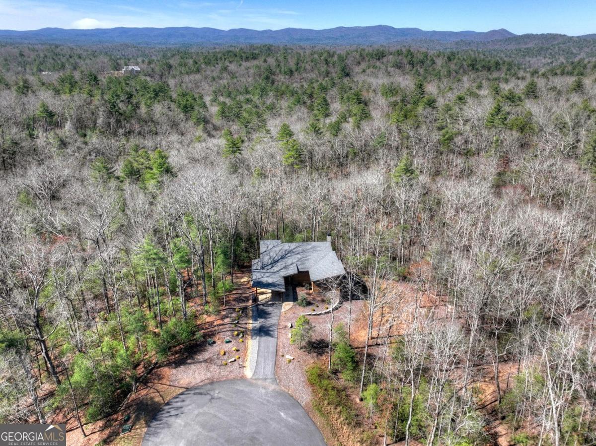 466 E Watersong Bluff Property Photo 6