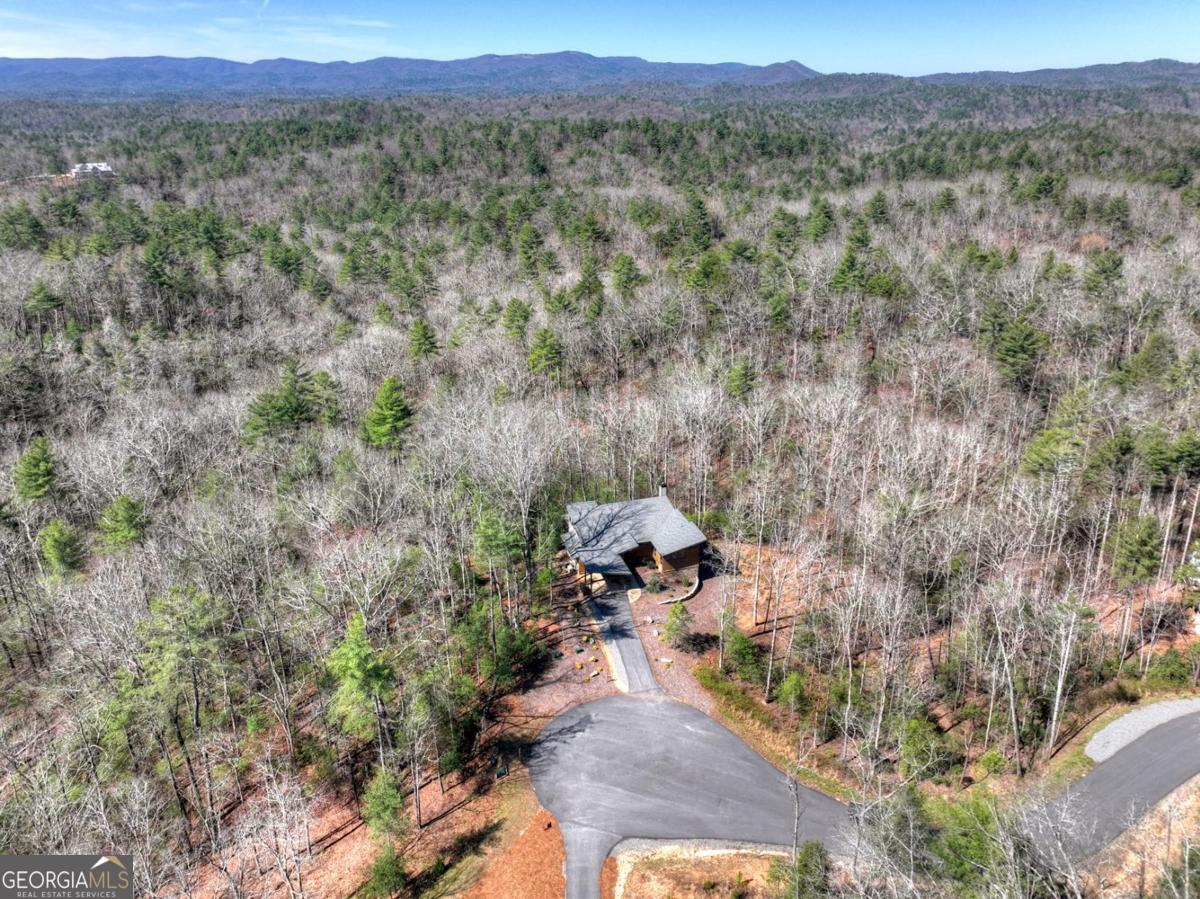 466 E Watersong Bluff Property Photo 9