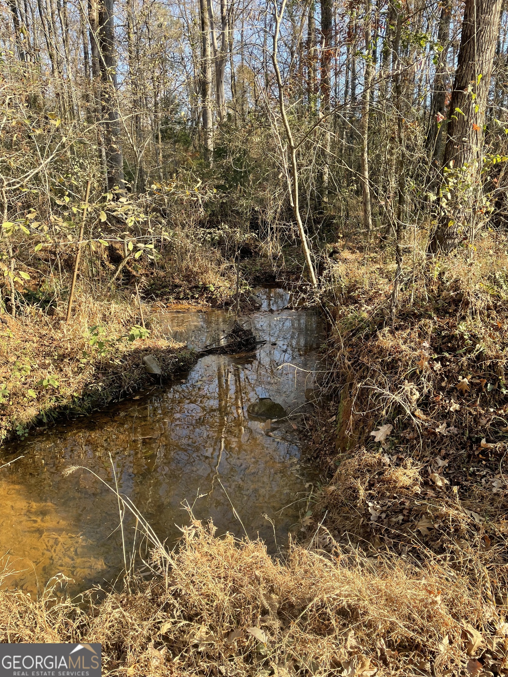 0 Fullerton-phillips & Greer Road Property Photo 3