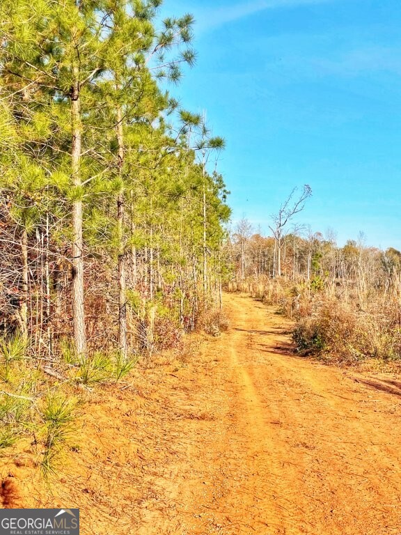 0 Fullerton-phillips & Greer Road Property Photo 6