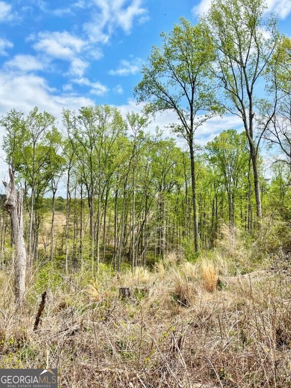 0 Fullerton-phillips & Greer Road Property Photo 3