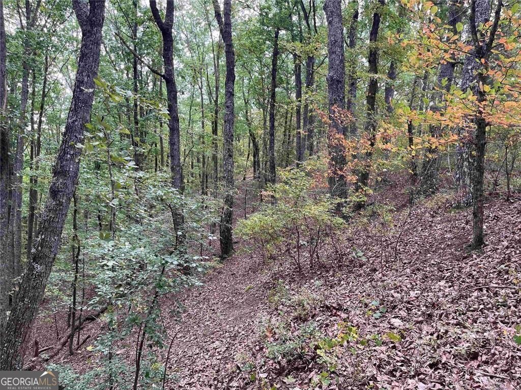 32 Antler Court Property Photo 3