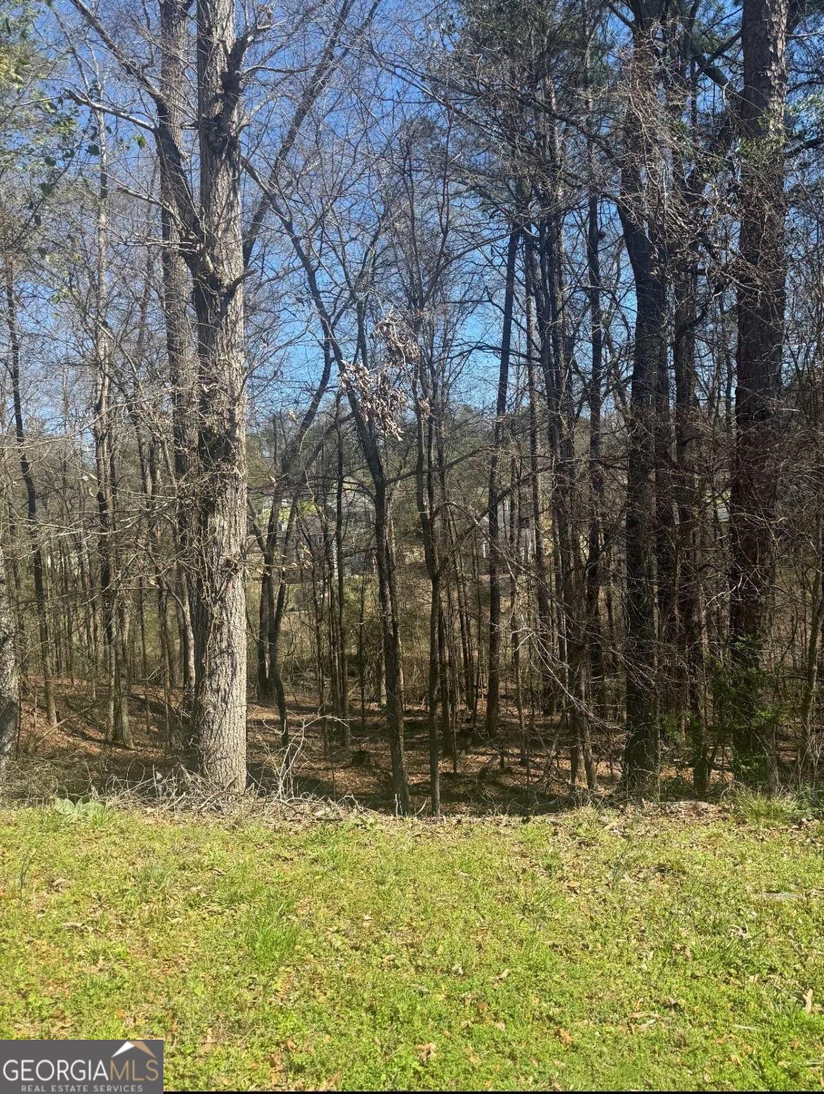 3740 Mountain Cove Road Property Photo 1