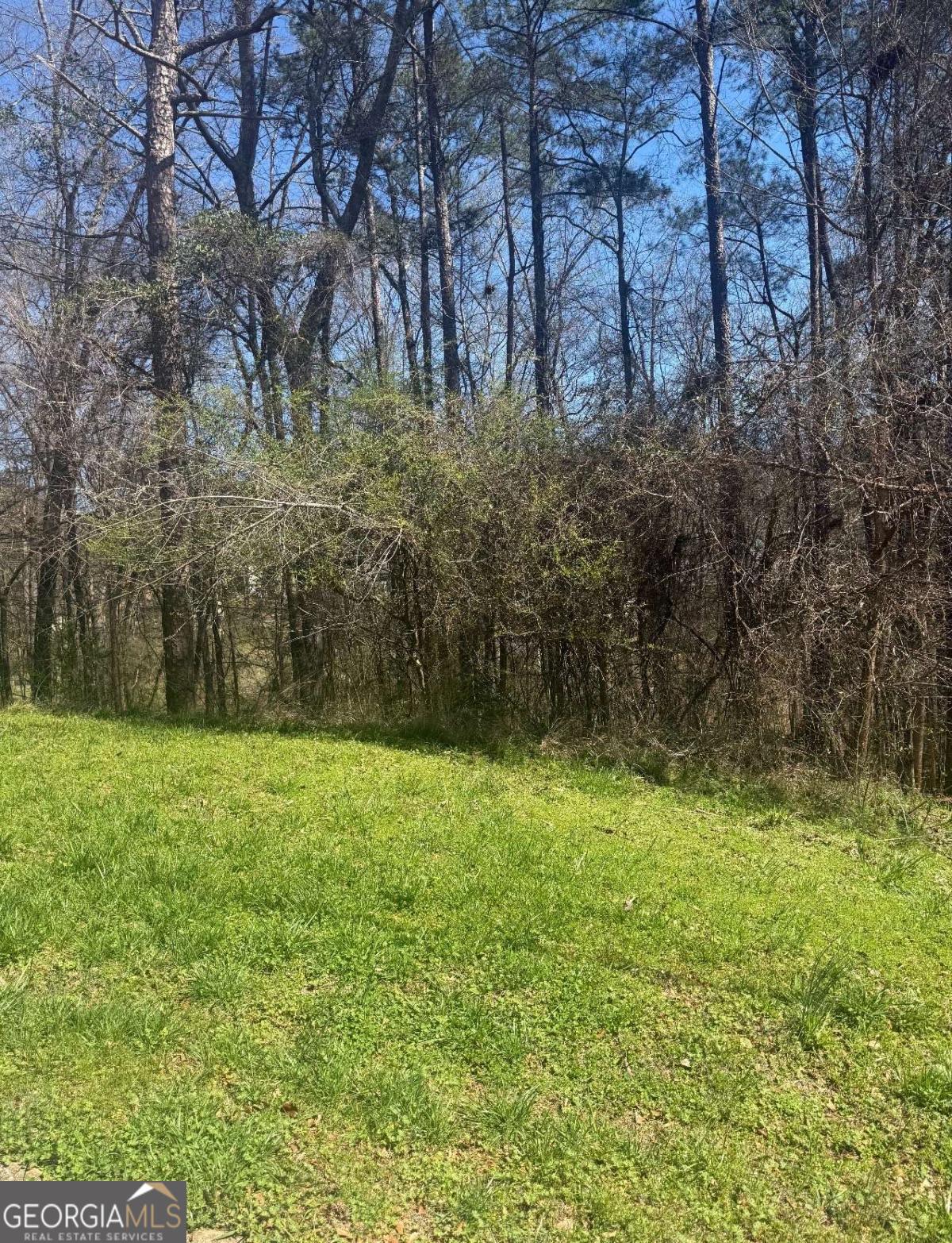 3740 Mountain Cove Road Property Photo 2