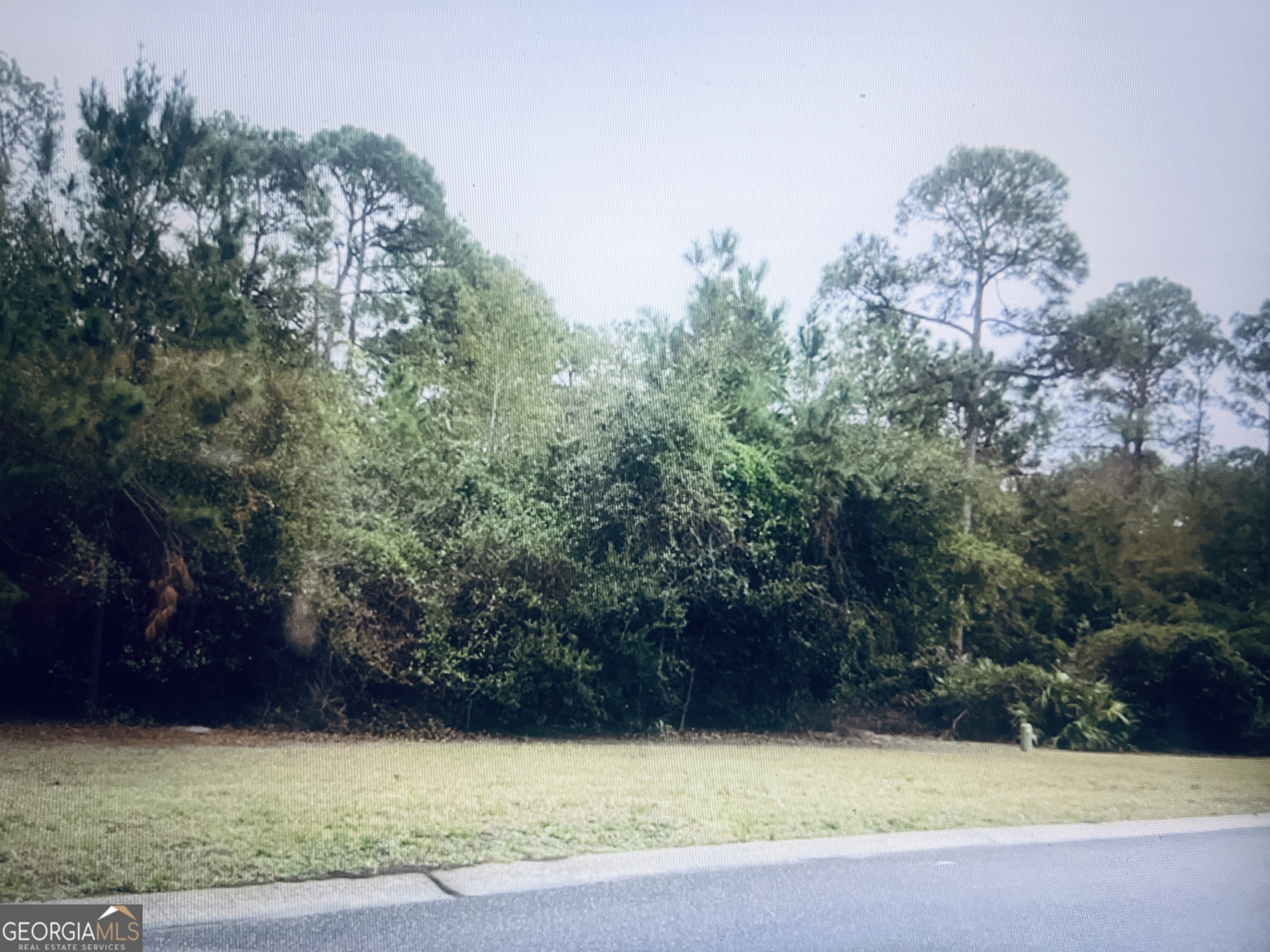 0 Whispering Oaks Lane Property Photo 1