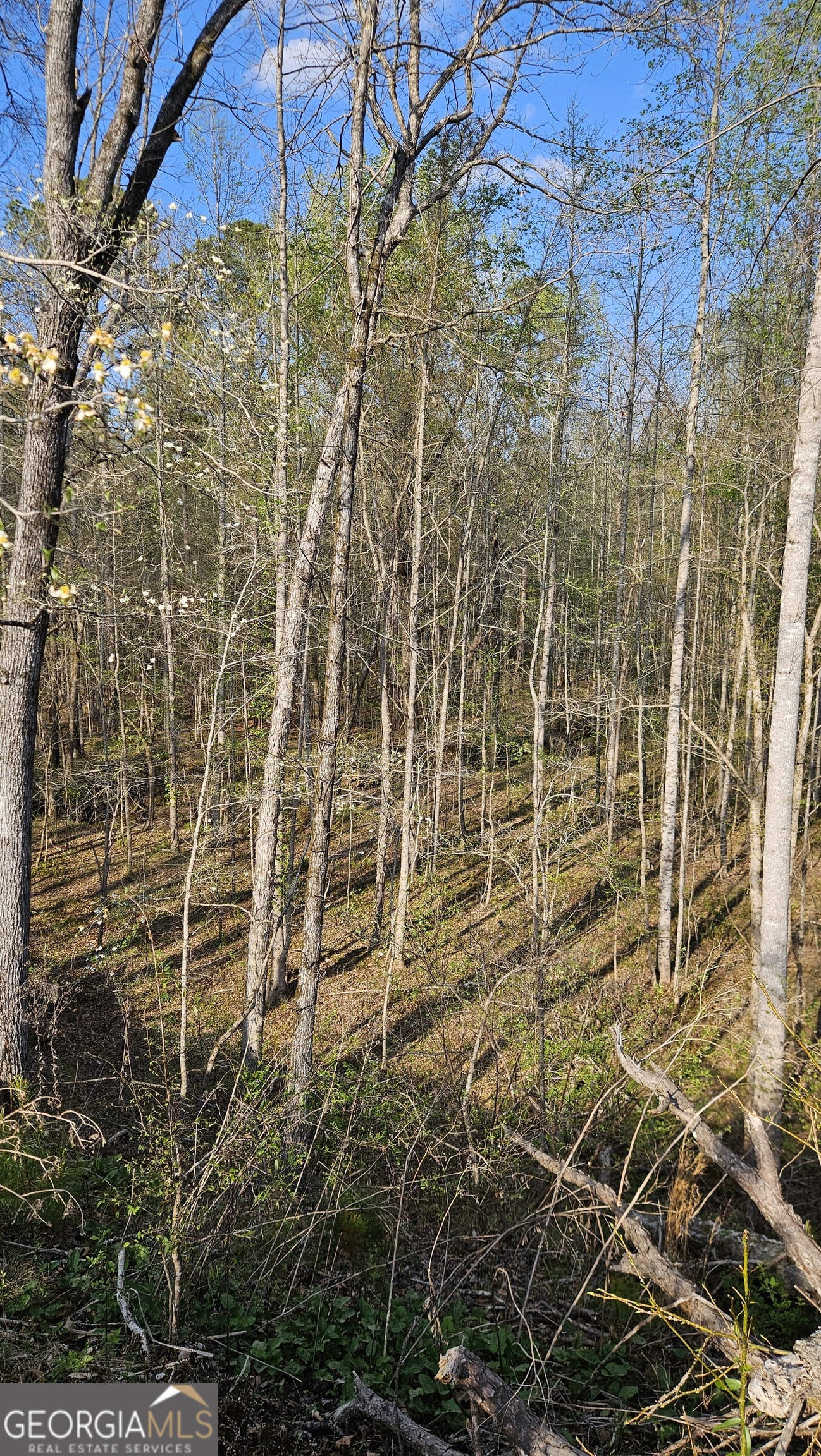 0 Hwy 15 Property Photo 10