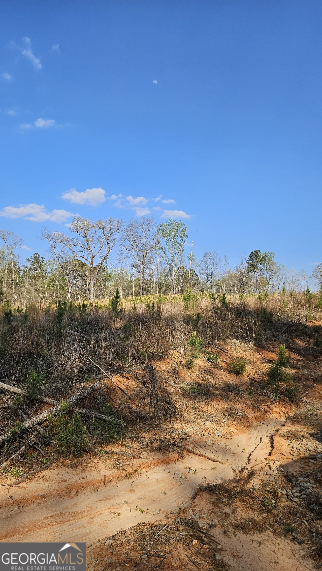 0 Hwy 15 Property Photo 11