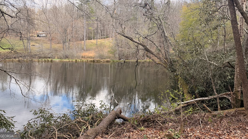 #9 Mill Creek Hollow Property Photo 3