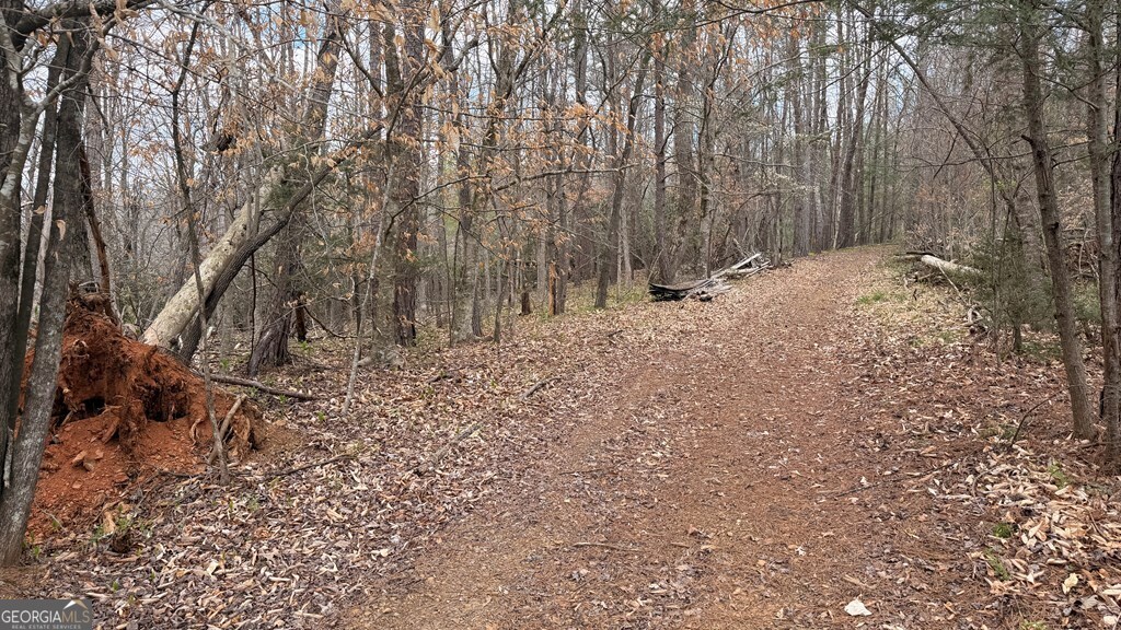 #9 Mill Creek Hollow Property Photo 4