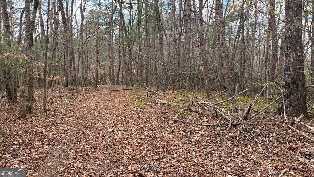 #9 Mill Creek Hollow Property Photo 5
