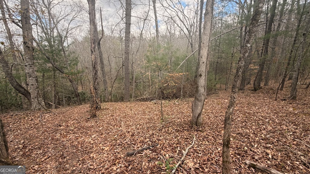 #9 Mill Creek Hollow Property Photo 6
