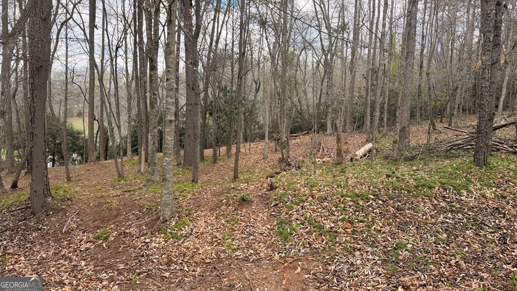 #9 Mill Creek Hollow Property Photo 7