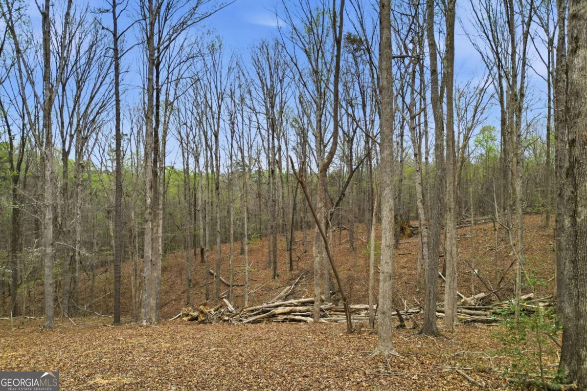 0 Carlan Road Property Photo 12