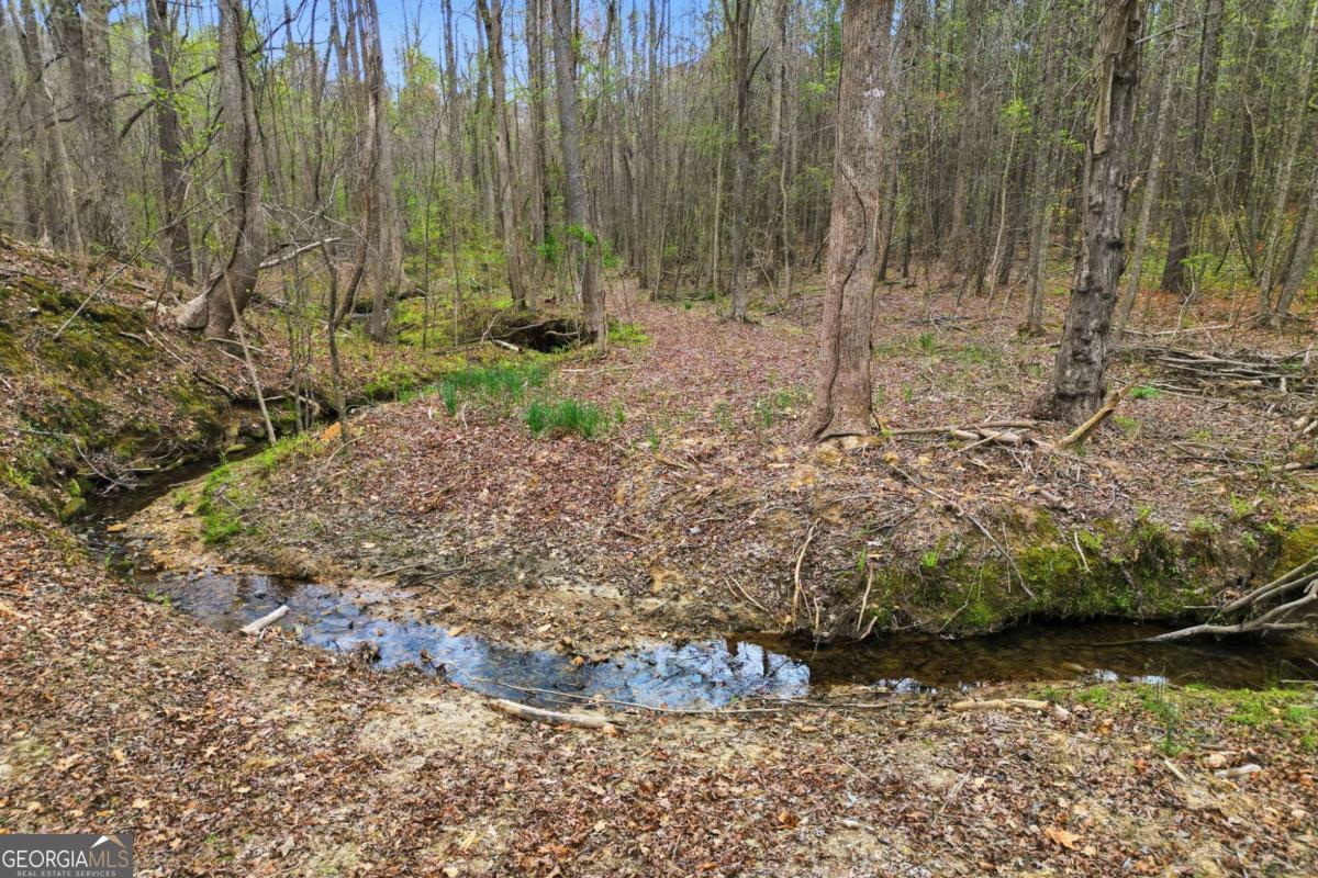 0 Carlan Road Property Photo 14
