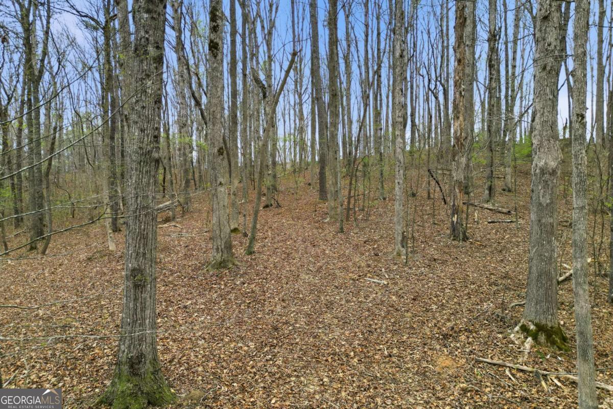 0 Carlan Road Property Photo 17