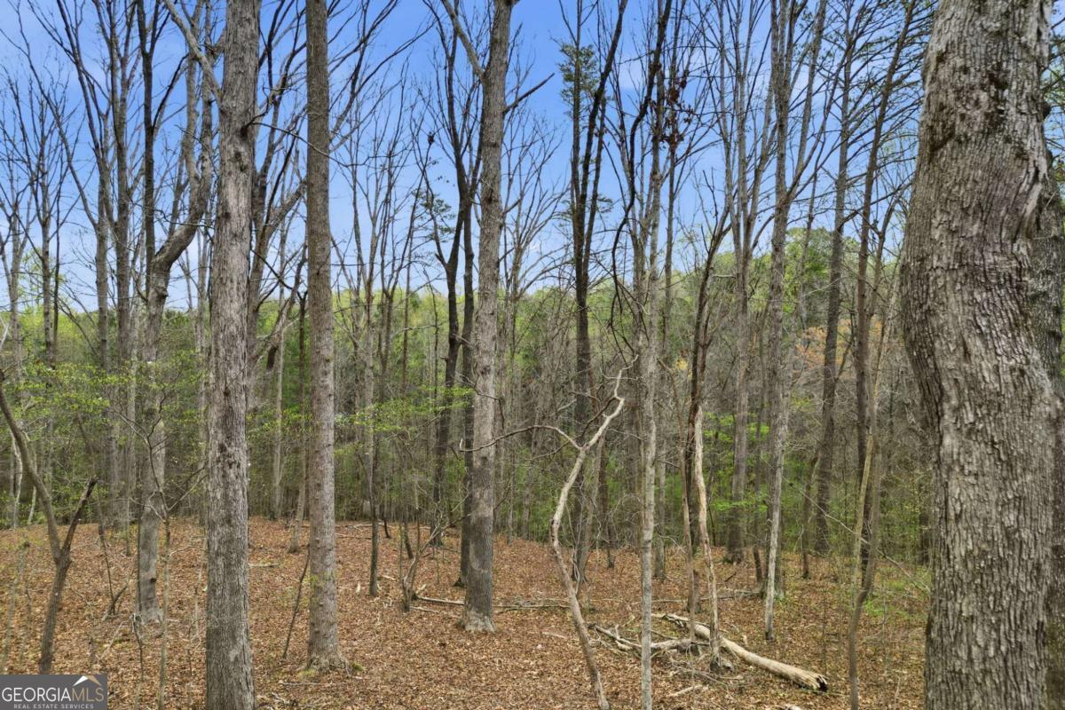 0 Carlan Road Property Photo 18