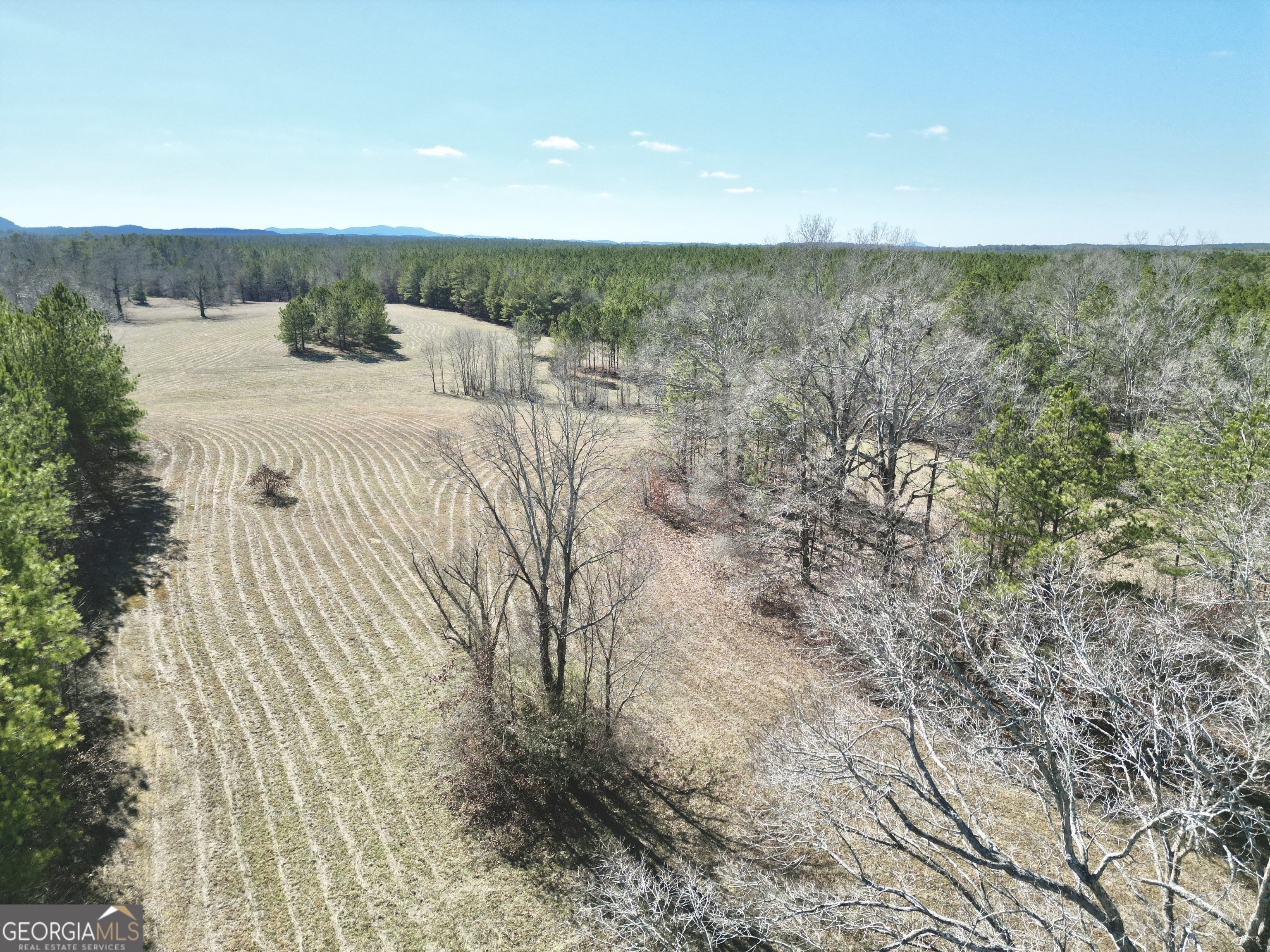 0 Livingston Road Property Photo 2