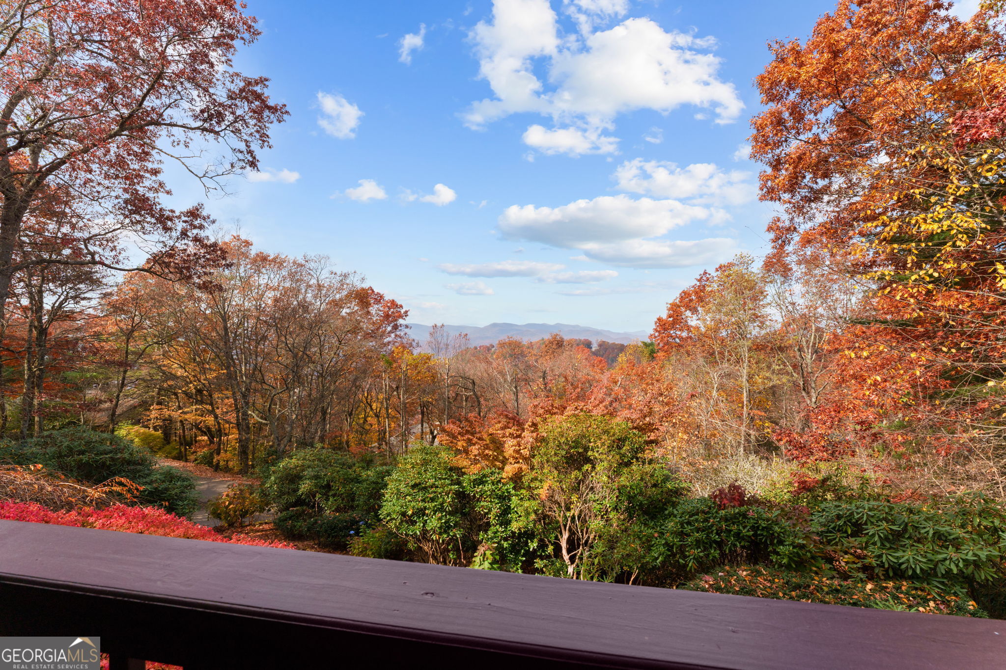 79 Alex Mountain Property Photo 25
