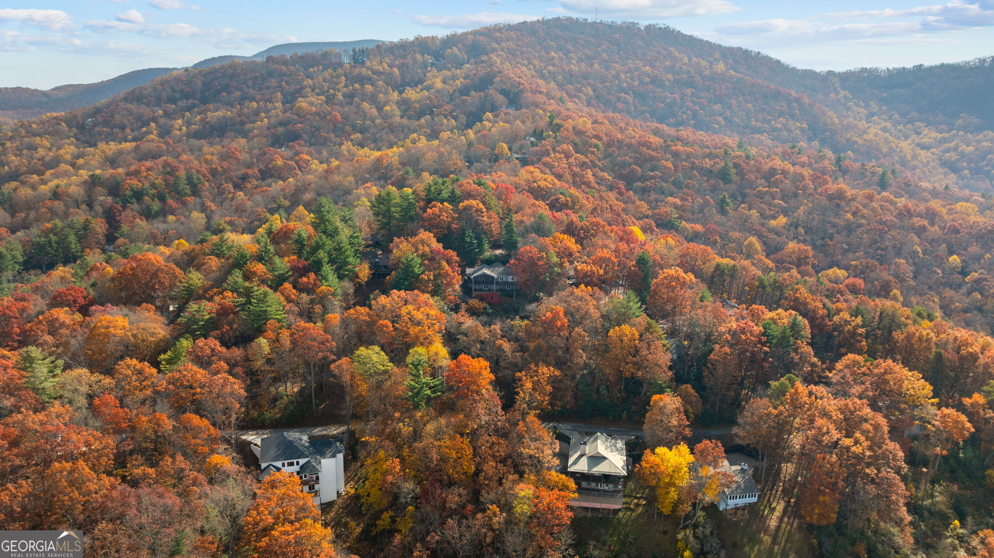 79 Alex Mountain Property Photo 60