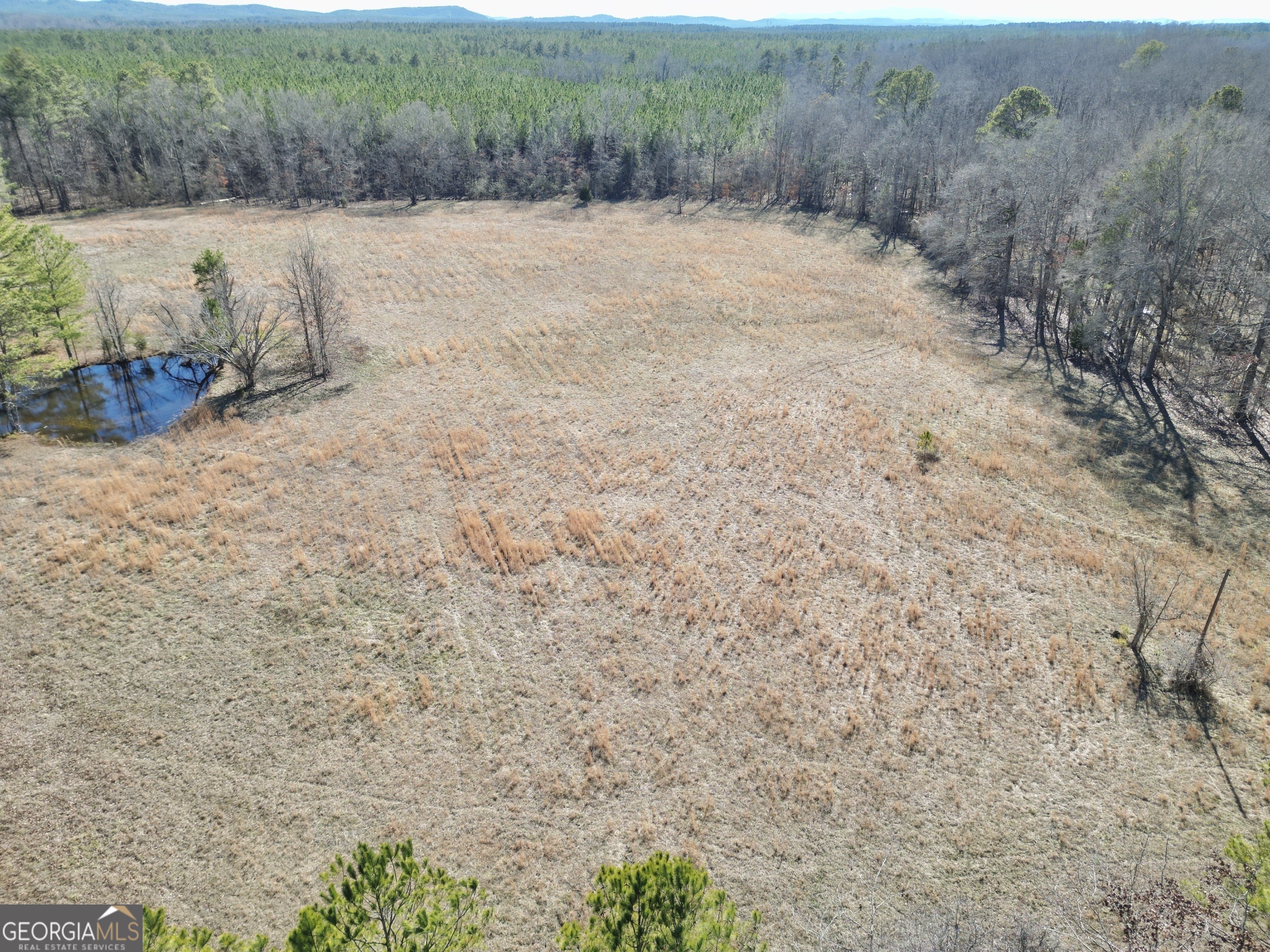 1239 Livingston Road Property Photo 4